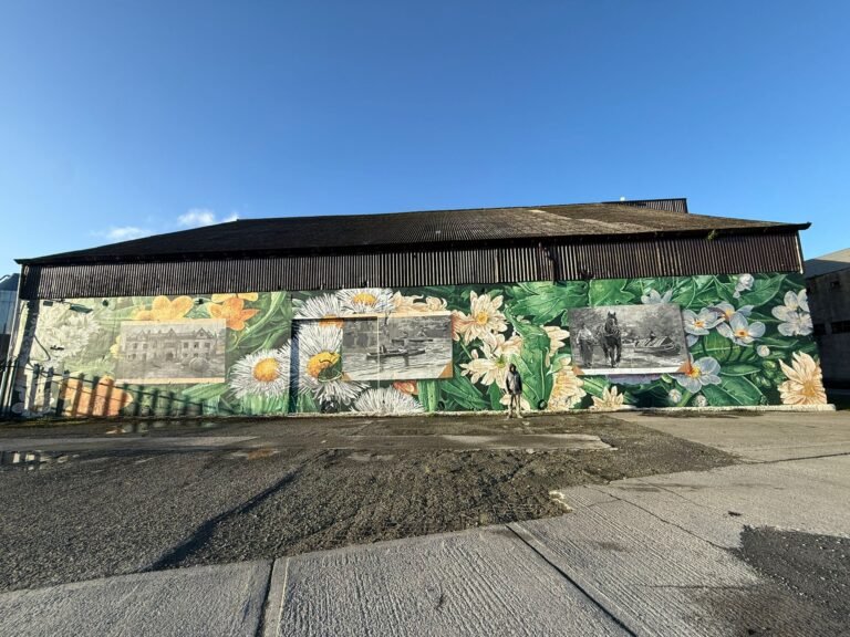 338a9fa4-d800-448e-9c90-50ba4ab49e7f