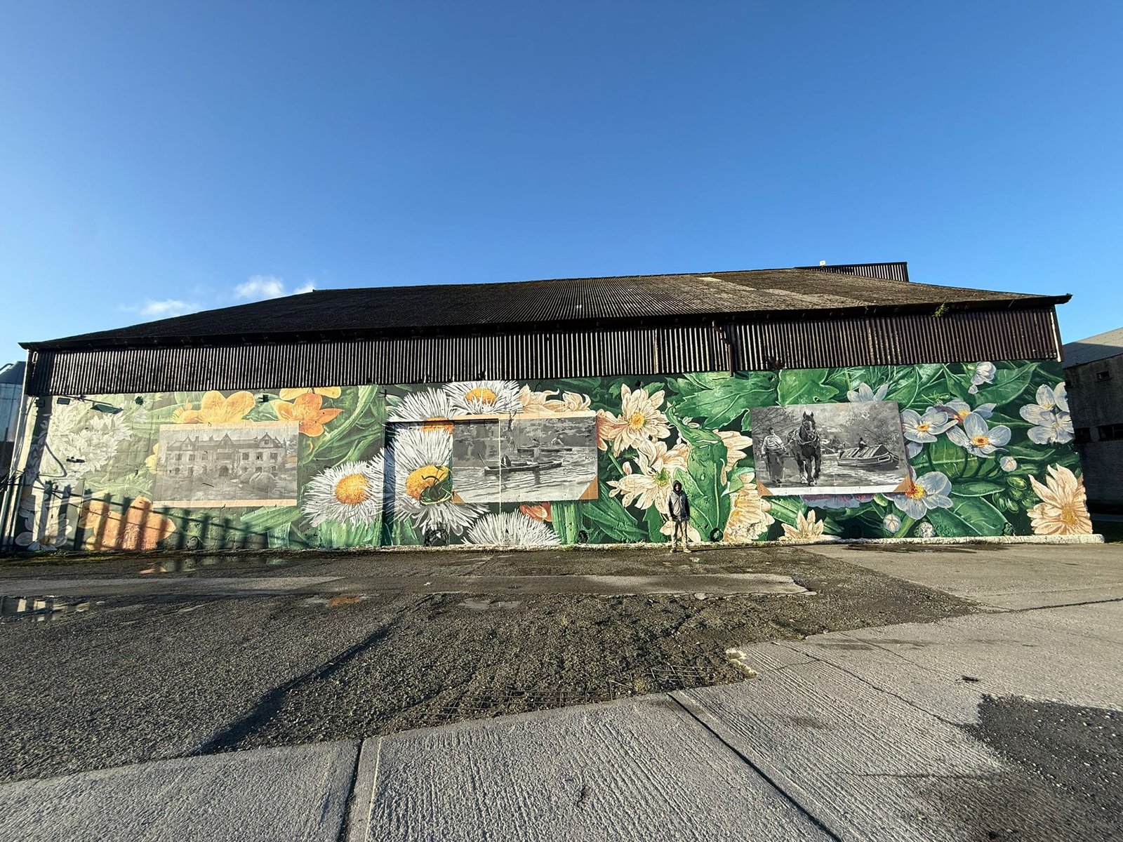 338a9fa4-d800-448e-9c90-50ba4ab49e7f