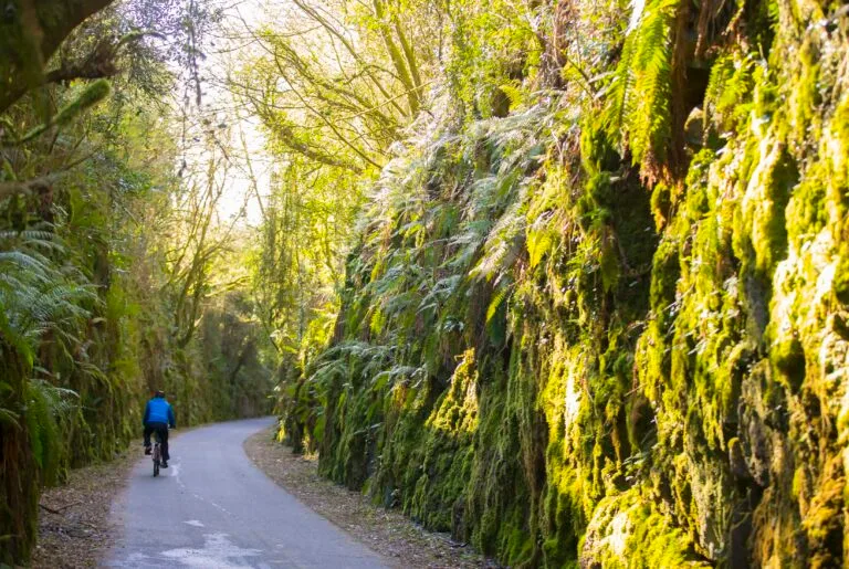 Waterford Greenway at Carriganore