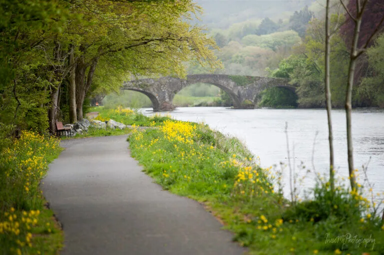 The Suir Blueway at Kilsheelin